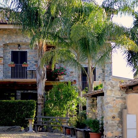 ריקאדי Villa Basilio Accommodation מראה חיצוני תמונה